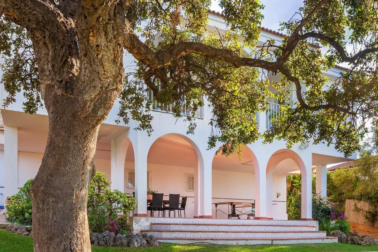 Villa Casa rural privada con piscina vallada, barbacao y chimenea Alhaurín de la Torre
